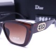 20240330 Dijia Sunglasses Model 9604
