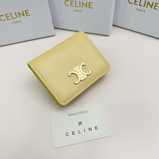 2023.09.27 Brand: Celine 3510