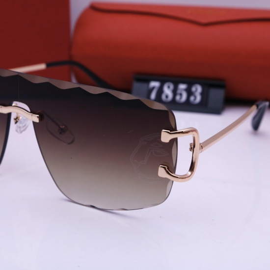 20240330 Kajia Sunglasses Model 7853