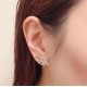 20240411 BAOPINZHIXIAO Small Fragrance Earrings 18