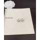 20240413 P65ch * nel latest resin pentagonal star earrings made of consistent ZP brass material