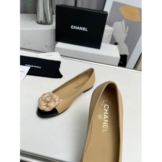 twenty million two hundred and forty thousand three hundred and twenty-six P290Ch@nel The 24c early spring new Camellia Mary Jane single shoe series counter is simply a frenzy, with popular photo shoots on various social media platforms. This issue's runw