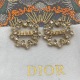 20240411 BAOPINZHIXIAO Dior Wheat Ear Letter Earrings 22