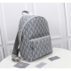 20231126 650 This Rider backpack features a minimalist silhouette and a classic college style exuding vitality. Crafted with black CD Diamond patterned canvas, inspired by Dior archives, embellished with smooth cowhide leather, and adorned with the 